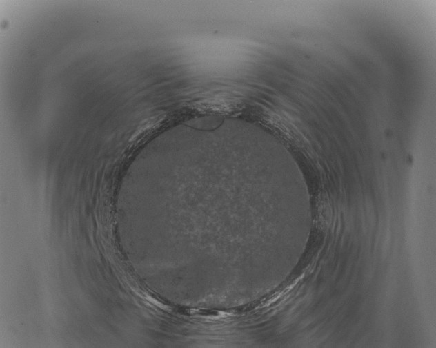 X0000063481297200601271644