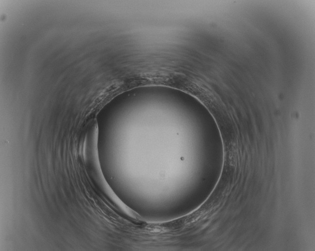 X0000063481298200601271644