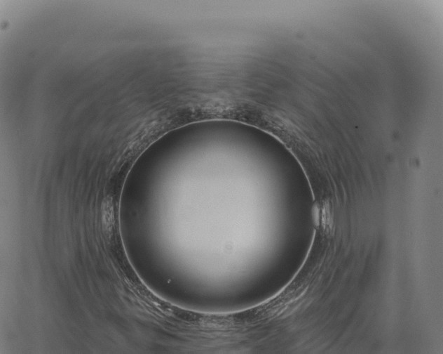 X0000063481299200601271644