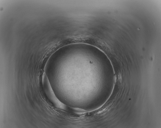 X0000063481300200601271644