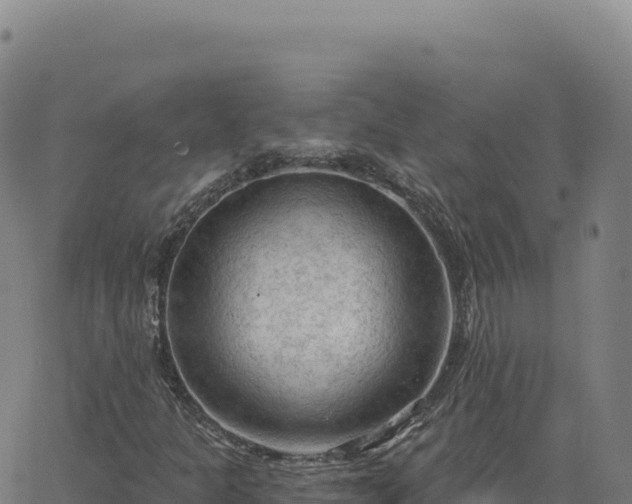 X0000063481301200601271644