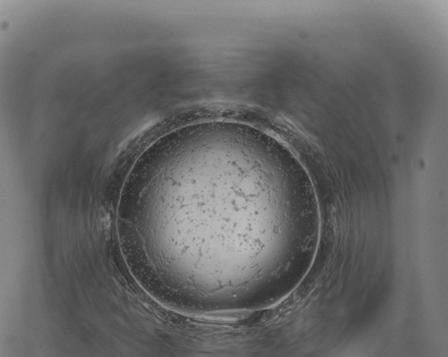 X0000063481302200601271644