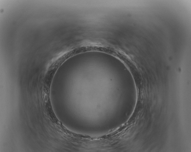 X0000063481303200601271644