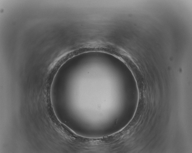 X0000063481304200601271644