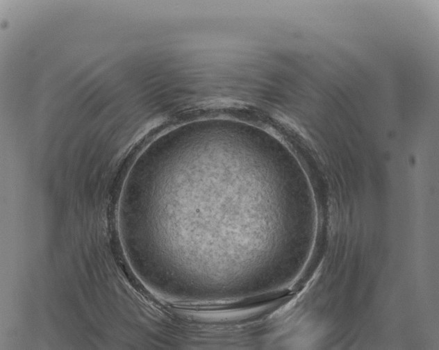 X0000063481305200601271644