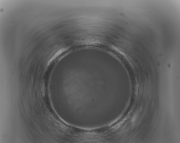 X0000063481306200601271644