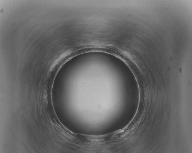 X0000063481307200601271644