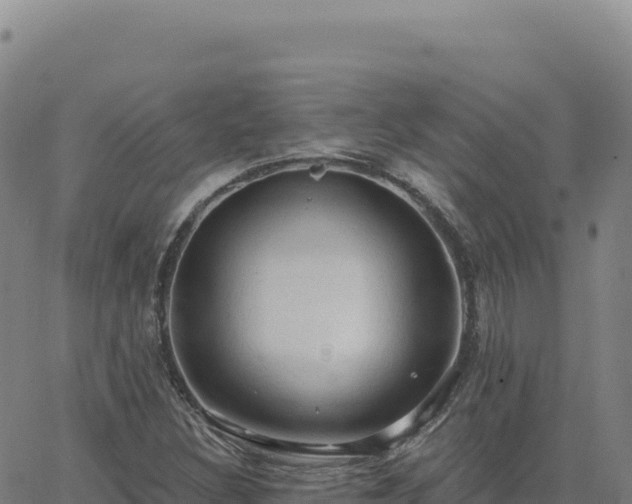 X0000063481308200601271644