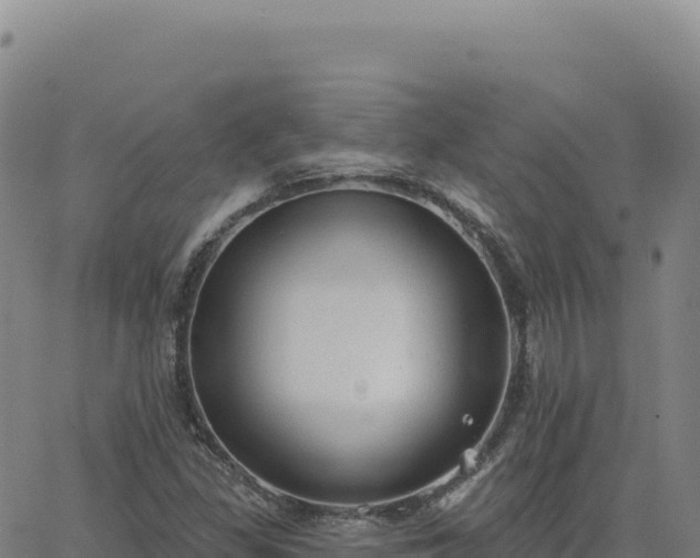 X0000063481309200601271645