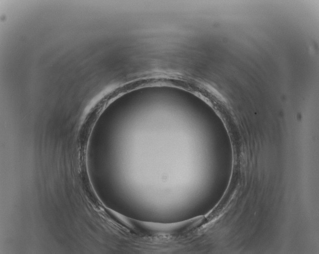 X0000063481310200601271645