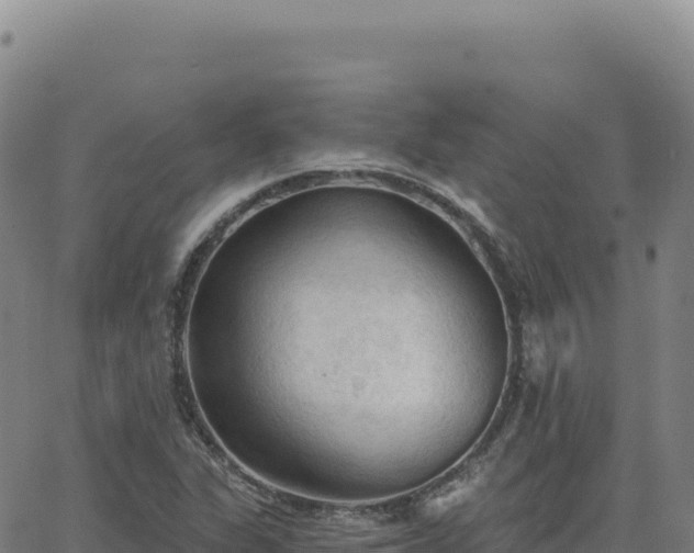 X0000063481311200601271645