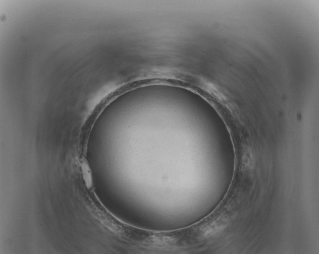 X0000063481312200601271645