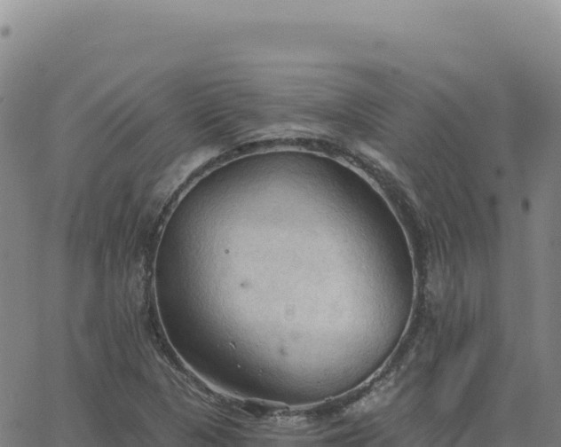 X0000063481313200601271645