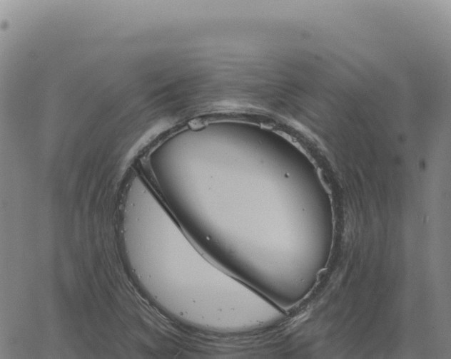 X0000063481314200601271645