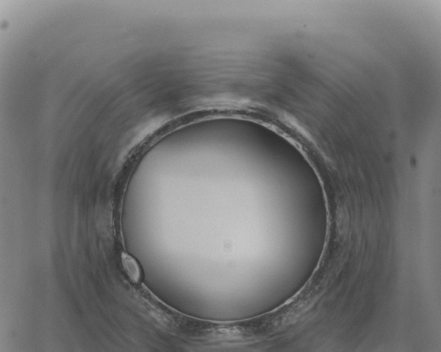 X0000063481315200601271645