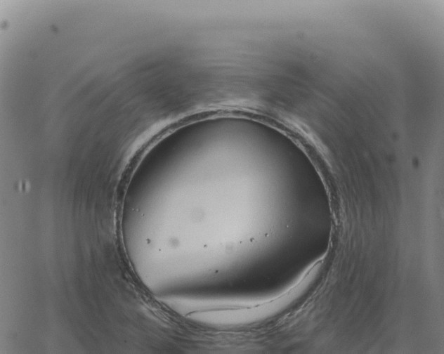 X0000063481316200601271645