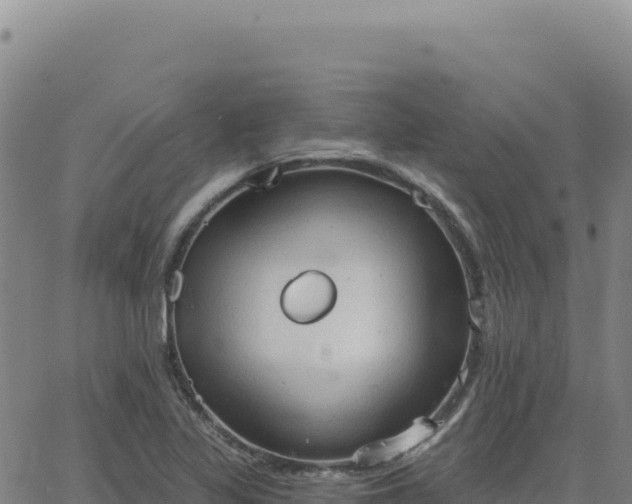 X0000063481317200601271645