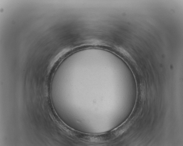 X0000063481318200601271645