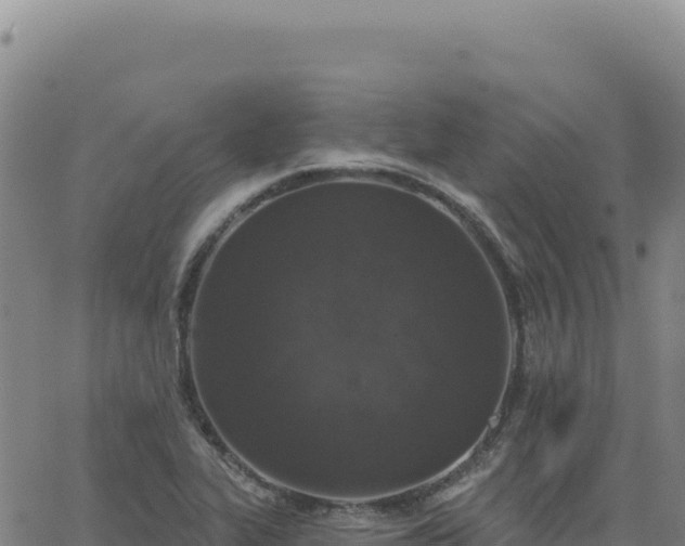 X0000063481319200601271645