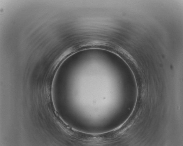 X0000063481321200601271645