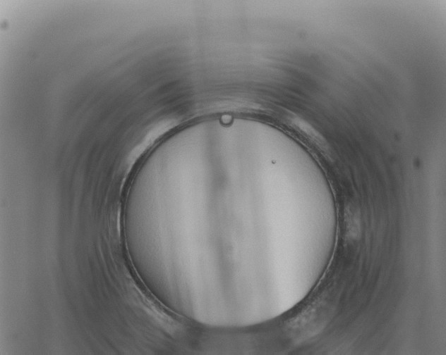 X0000063481322200601271645