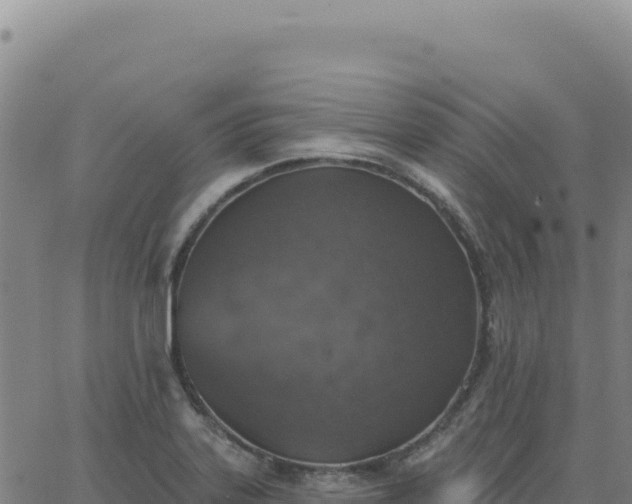 X0000063481323200601271645