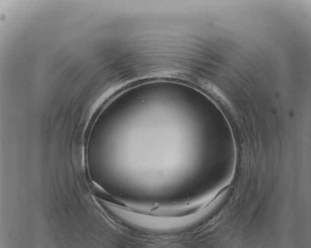 X0000063481324200601271645