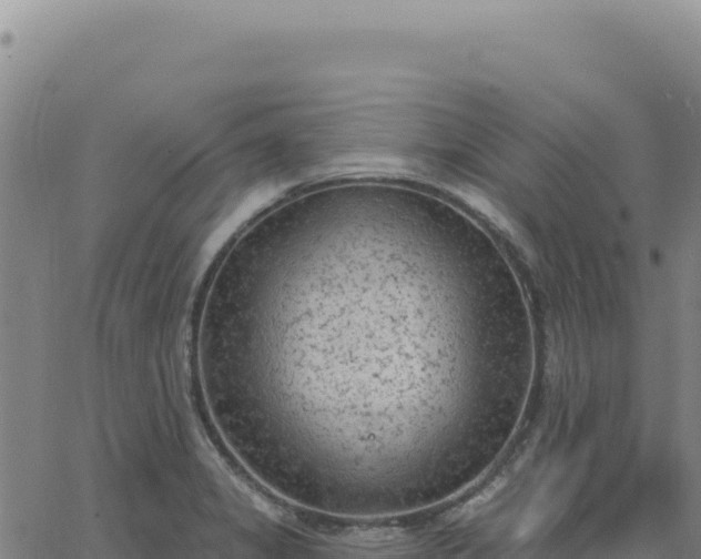 X0000063481325200601271645