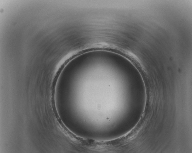 X0000063481326200601271645