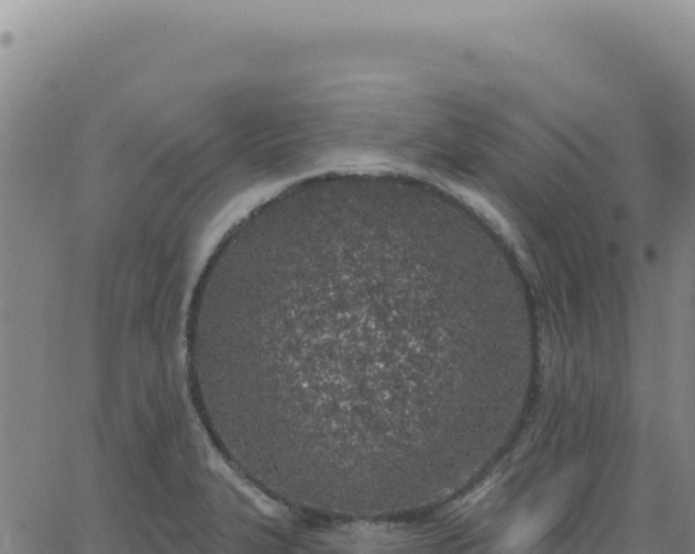 X0000063481327200601271645