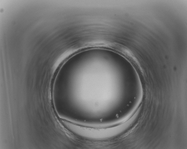 X0000063481328200601271645