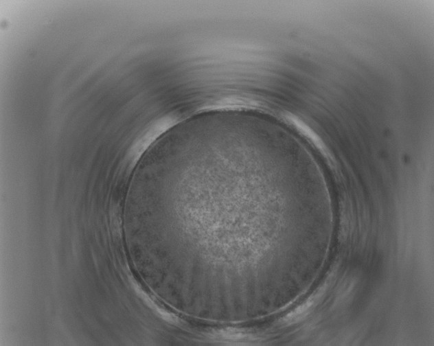 X0000063481329200601271645