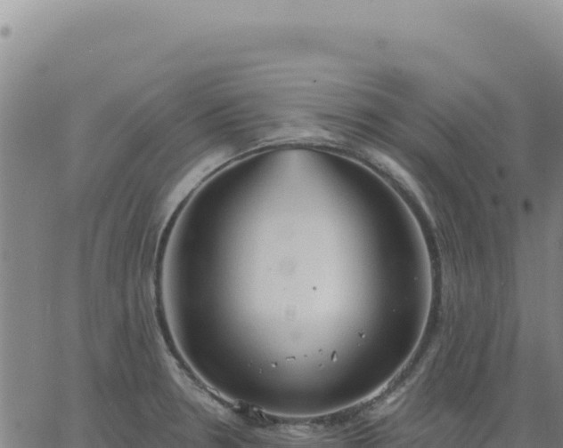 X0000063481330200601271645