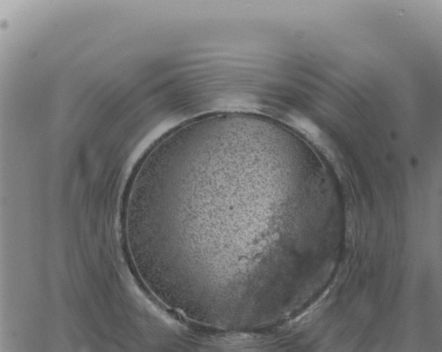 X0000063481331200601271645