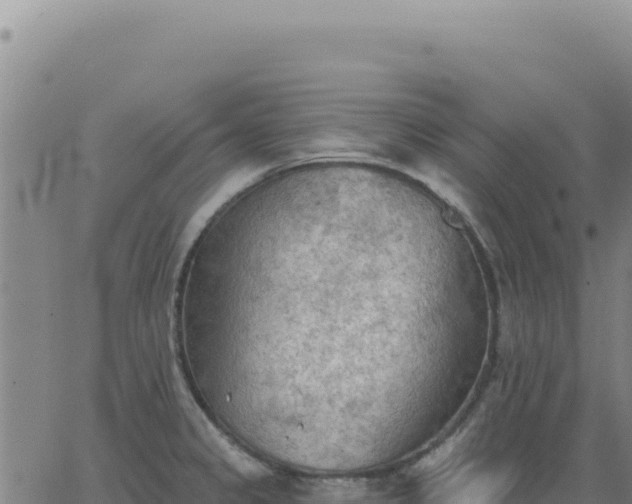 X0000063481333200601271645