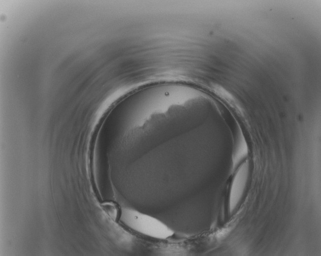 X0000063481334200601271645