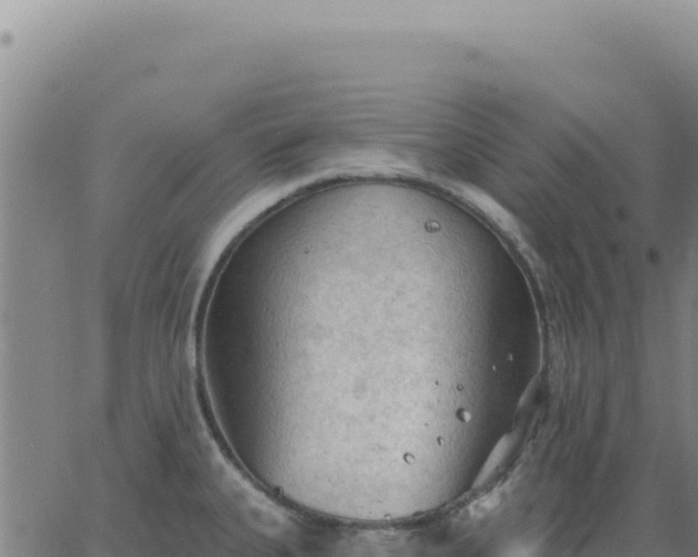 X0000063481335200601271645