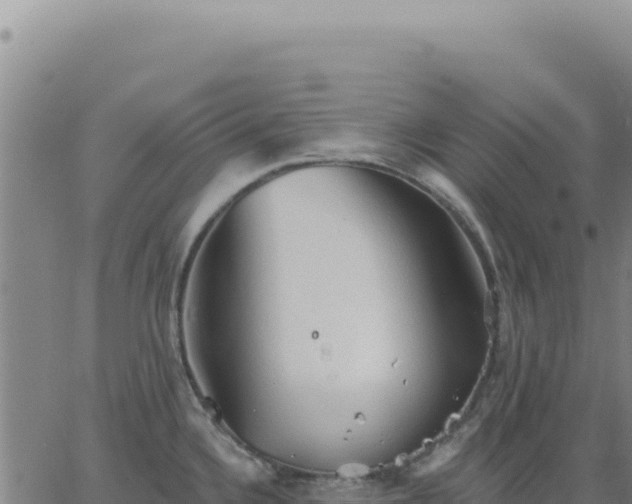 X0000063481336200601271645