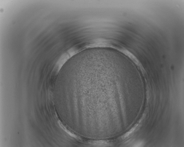 X0000063481337200601271645