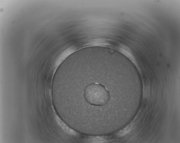 X0000063481338200601271645