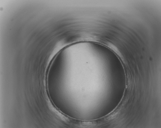 X0000063481339200601271645