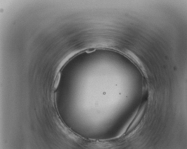 X0000063481340200601271645