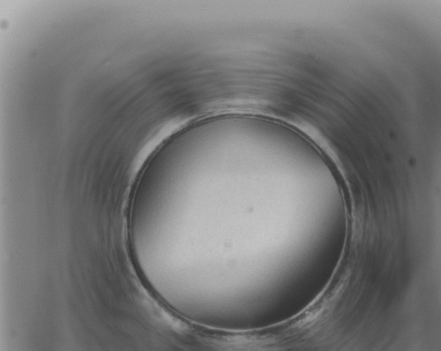 X0000063481341200601271645