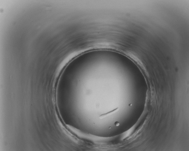 X0000063481342200601271645