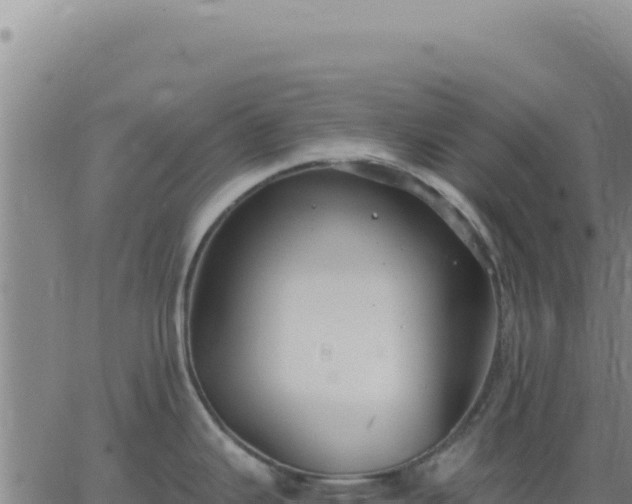 X0000063481343200601271645