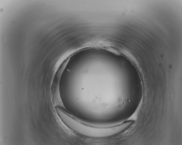 X0000063481344200601271645