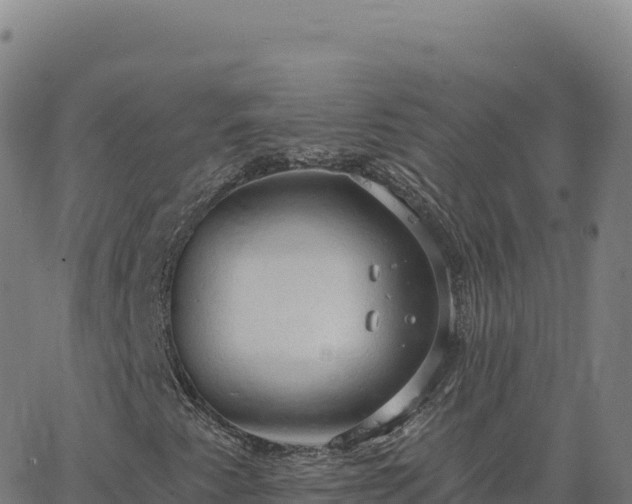 X0000063481345200601271644