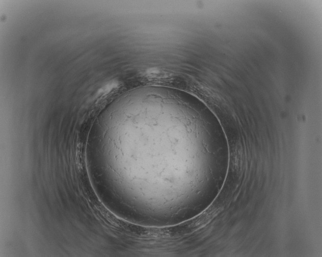 X0000063481346200601271644