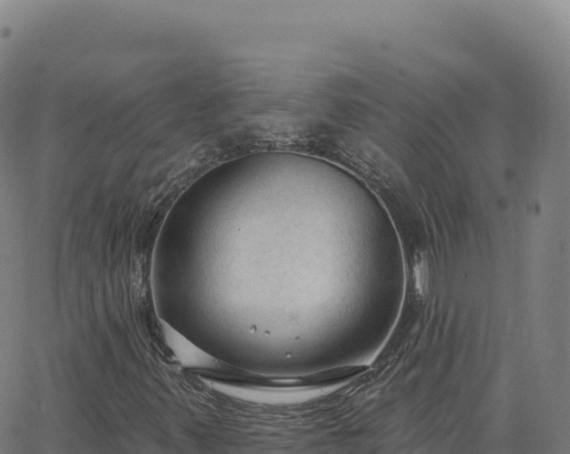 X0000063481347200601271644