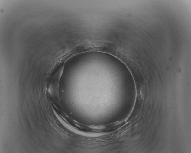 X0000063481348200601271644